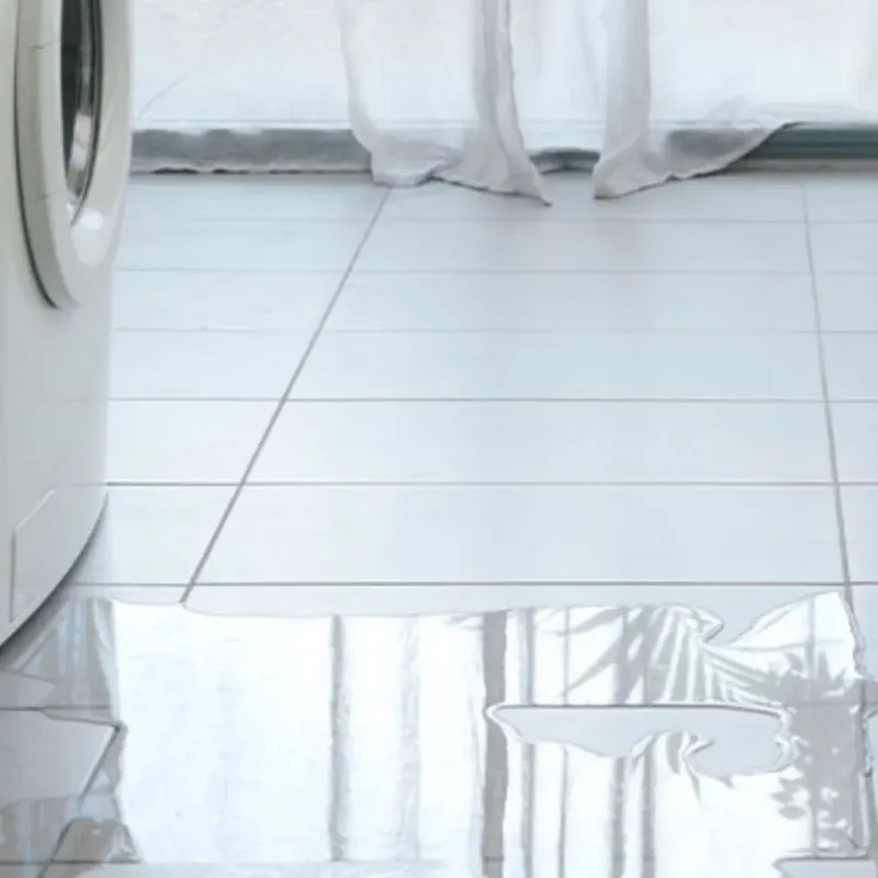 Appliance Leak Cleanup in Buna, TX