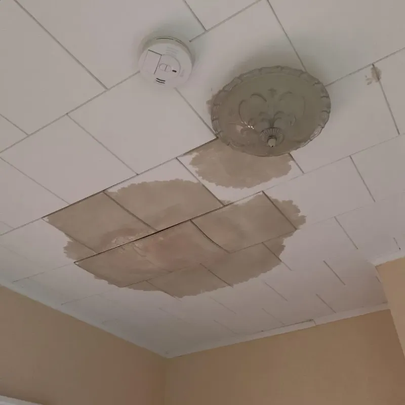 Ceiling Water Damage Repair in Buna, TX