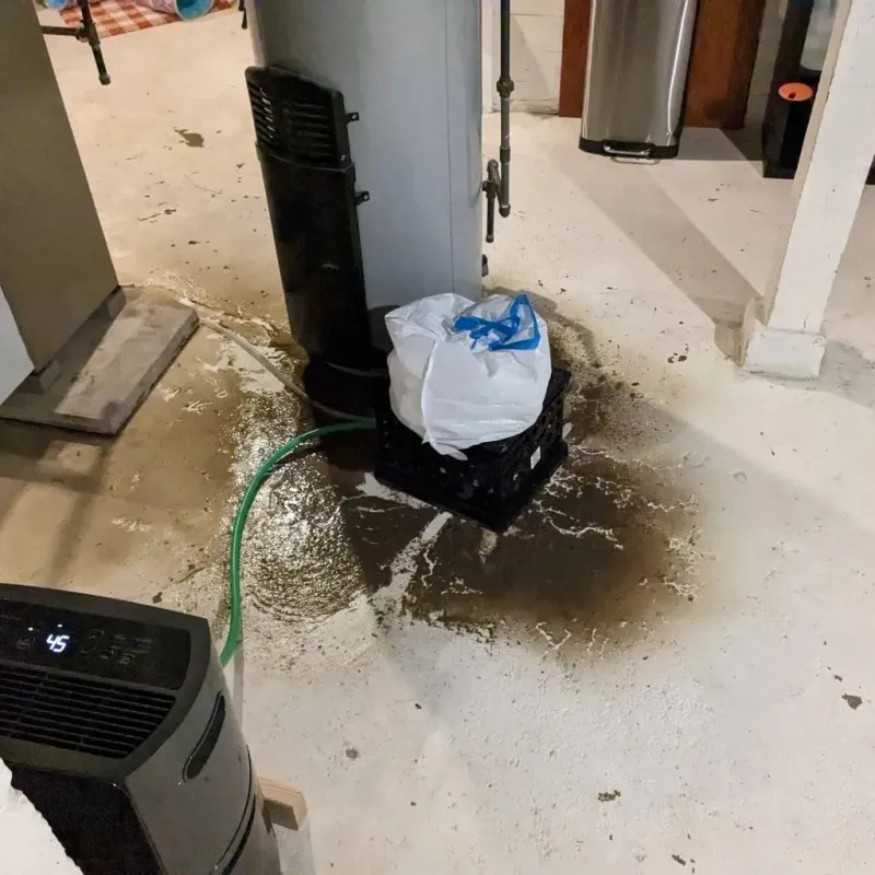 Sewage Backup Cleanup Service in Buna, TX